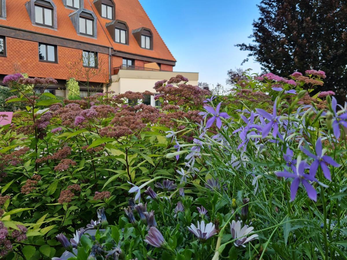 Hotel L'Europe Colmar Exterior photo